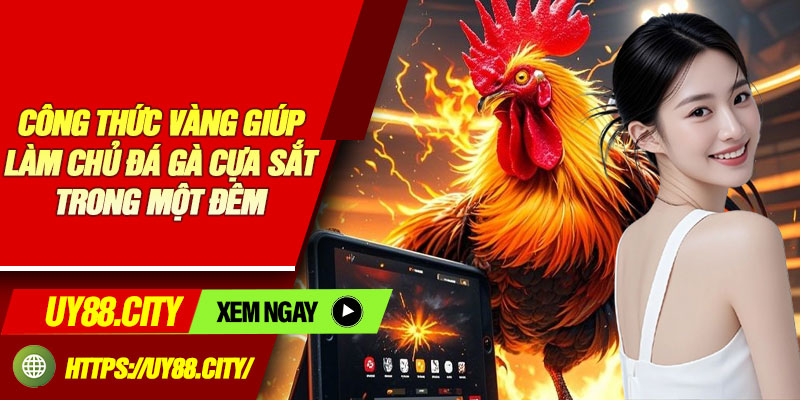 Công Thức Vàng Giúp Làm Chủ Đá Gà Cựa Sắt Trong Một Đêm