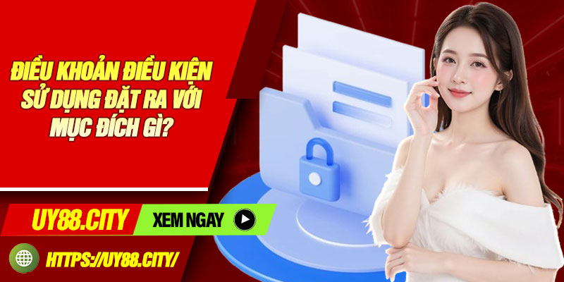 Điều Khoản Điều Kiện Sử Dụng Đặt Ra Với Mục Đích Gì?