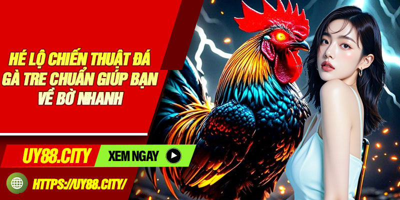 Hé Lộ Chiến Thuật Đá Gà Tre Chuẩn Giúp Bạn Về Bờ Nhanh