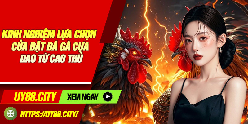 Kinh Nghiệm Lựa Chọn Cửa Đặt Đá Gà Cựa Dao Từ Cao Thủ
