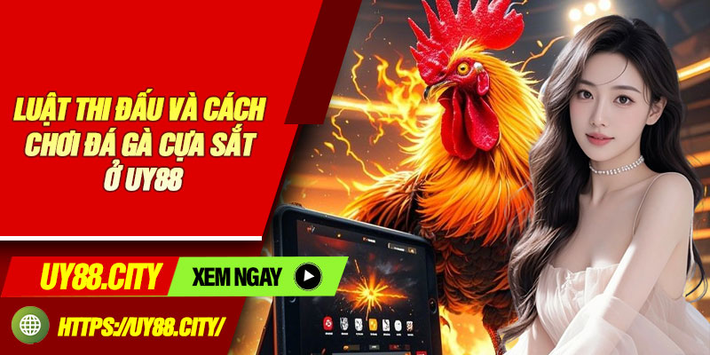 Luật Thi Đấu Và Cách Chơi Đá Gà Cựa Sắt Ở UY88