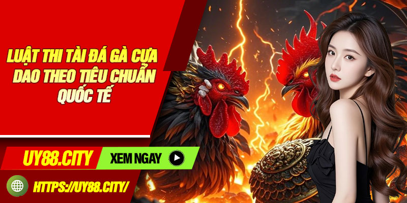 Luật Thi Tài Đá Gà Cựa Dao Theo Tiêu Chuẩn Quốc Tế