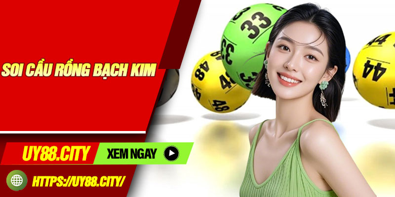 Soi Cau Rong Bach Kim