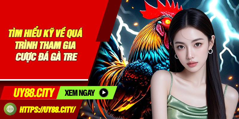 Tìm Hiểu Kỹ Về Quá Trình Tham Gia Cược Đá Gà Tre