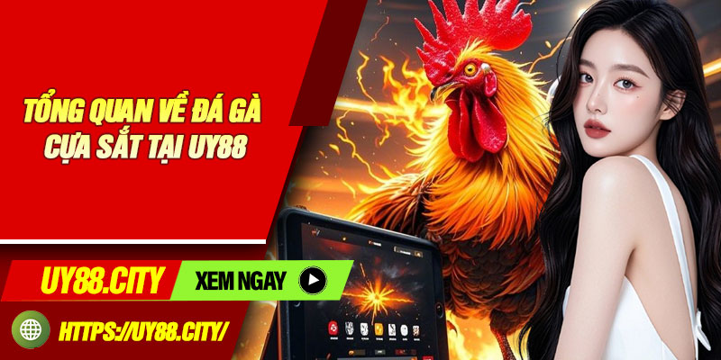 Tổng Quan Về Đá Gà Cựa Sắt Tại UY88