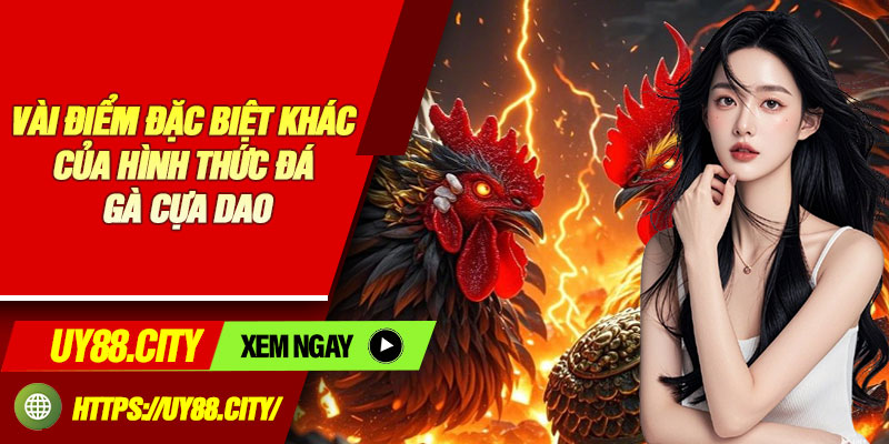Vài Điểm Đặc Biệt Khác Của Hình Thức Đá Gà Cựa Dao